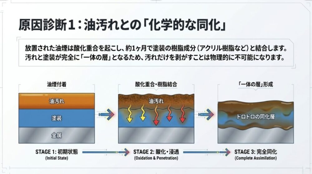 放置された油汚れが酸化重合を起こし、約1ヶ月で換気扇の塗装の樹脂成分と結合して分離不可能な「同化層」を形成するメカニズムの図解。